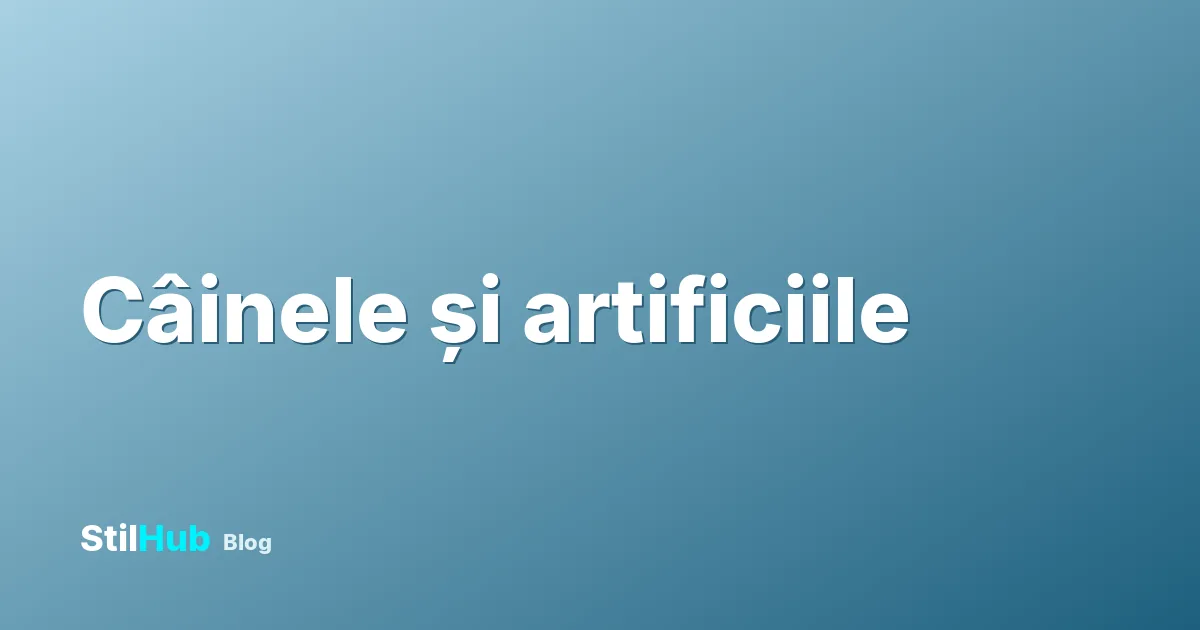 Câine speriat de artificii: cum îl ajuți de Revelion