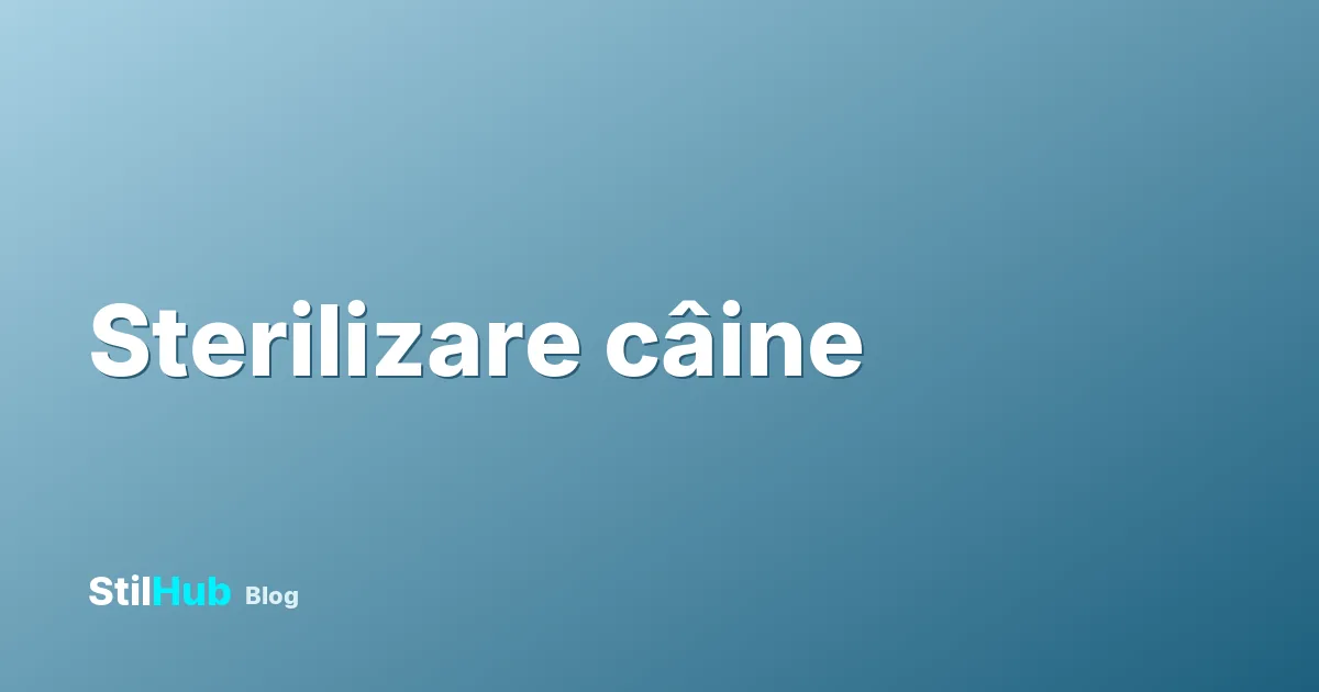 Sterilizare câine: cât costă și la ce vârstă se face