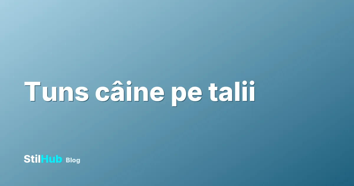 Tuns câine: preț pe talii și ce include un pachet complet
